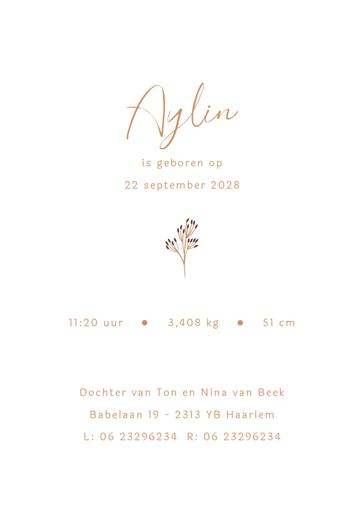 Baby's eerste pakje - Terug