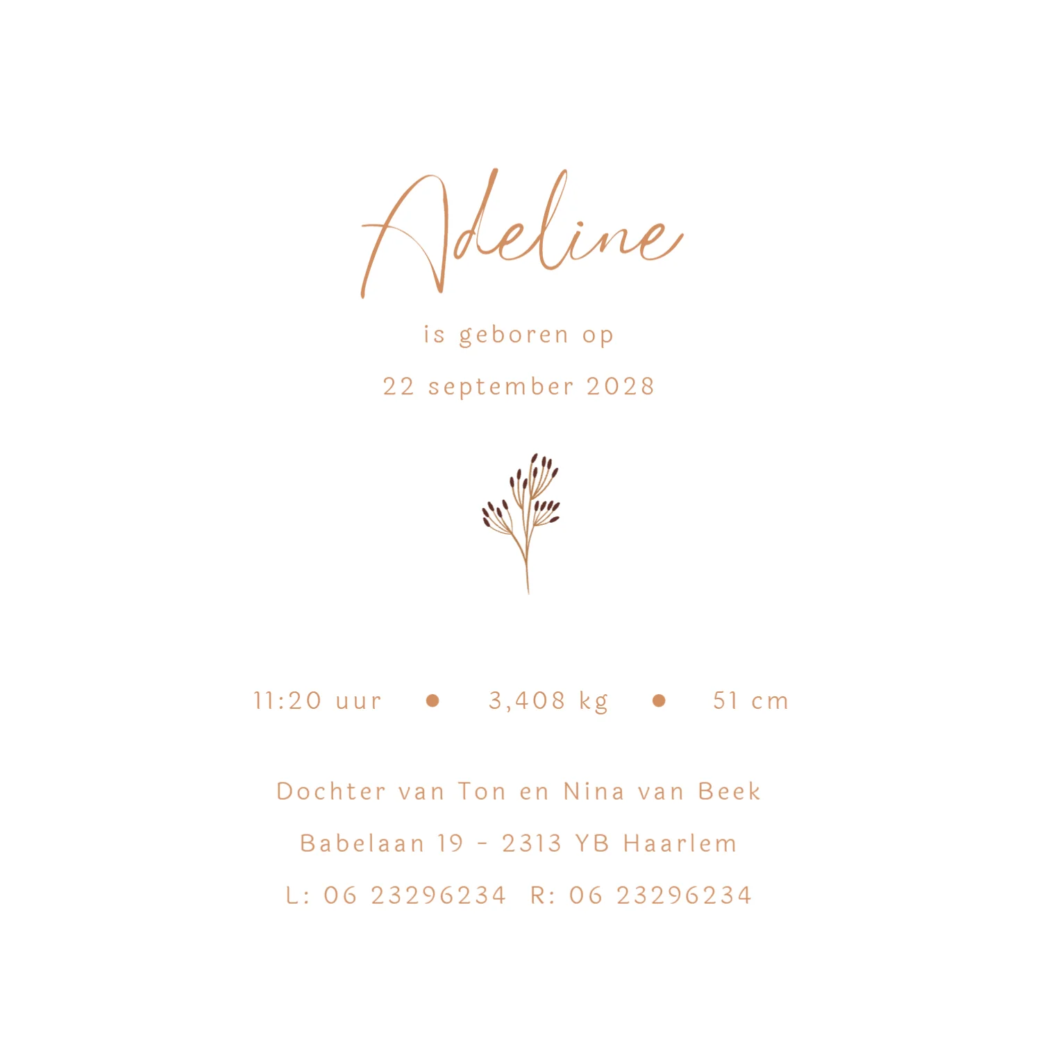 Baby's eerste pakje - Binnenkant