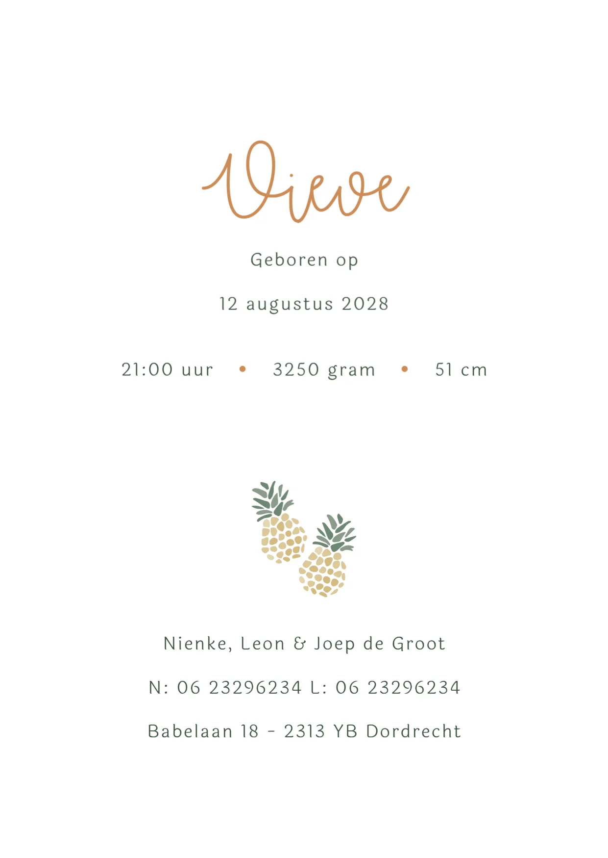 Ananas Patroon met Naam - Terug