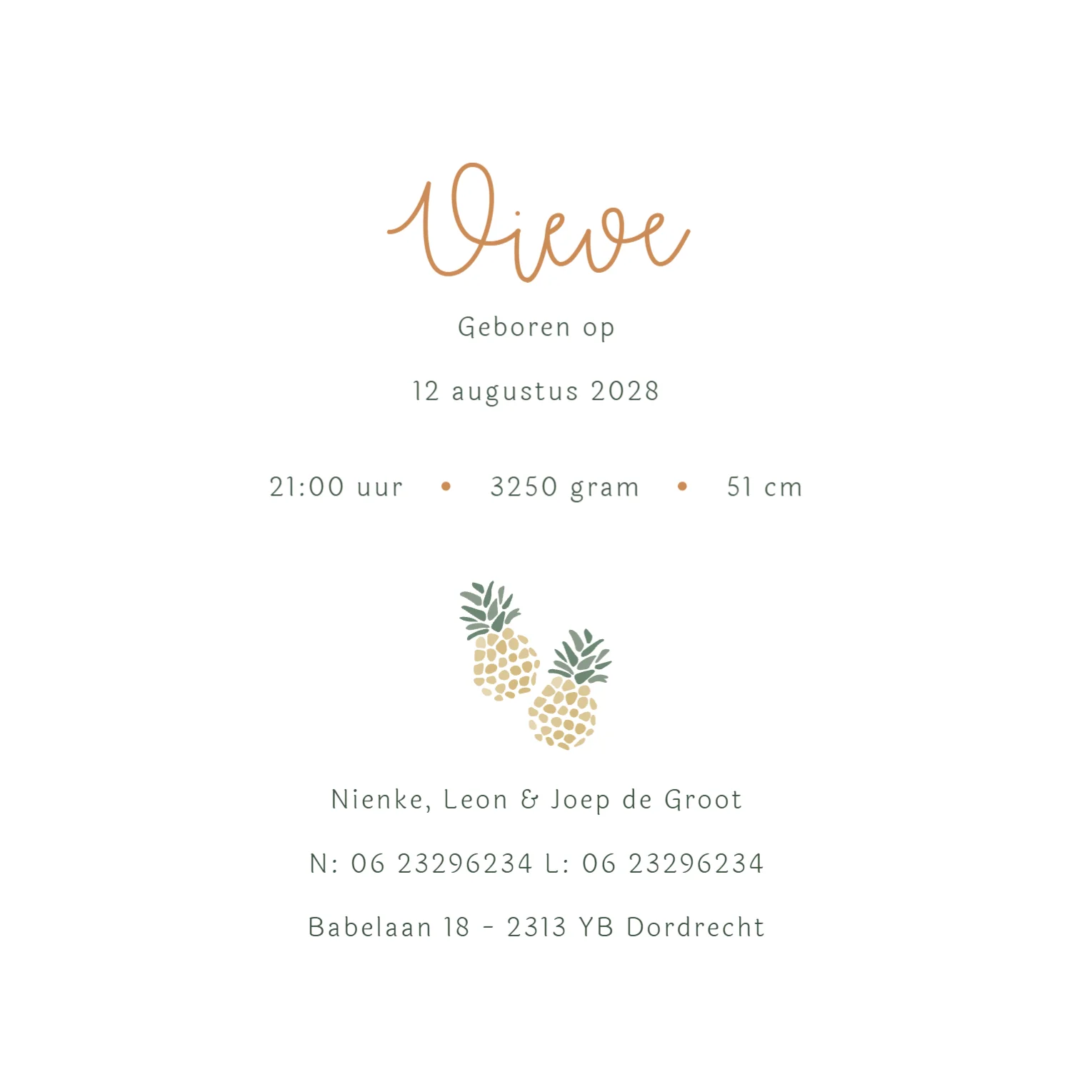 Ananas Patroon met Naam - Terug