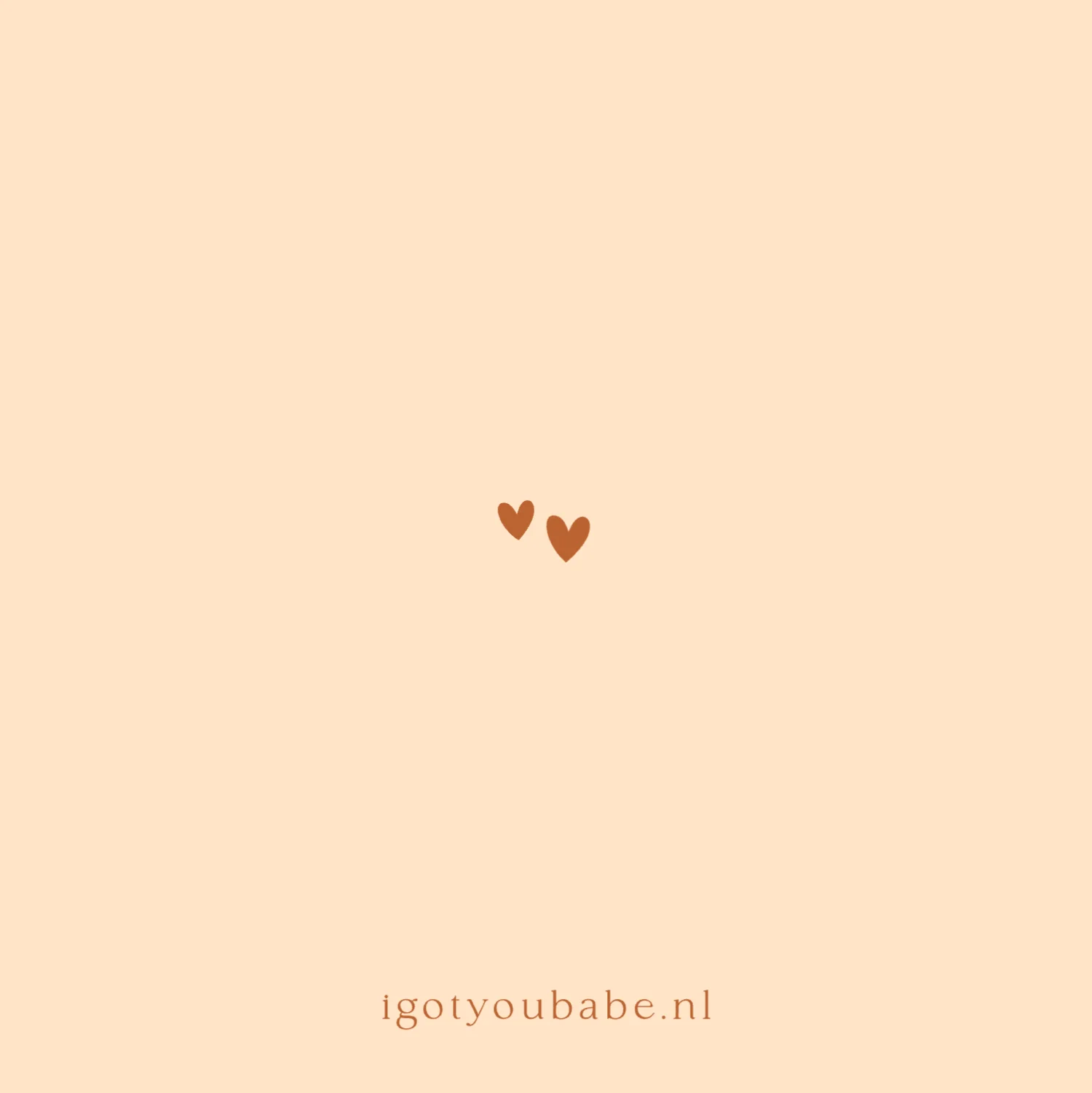 Aapje met Vlag op Bal - Terug