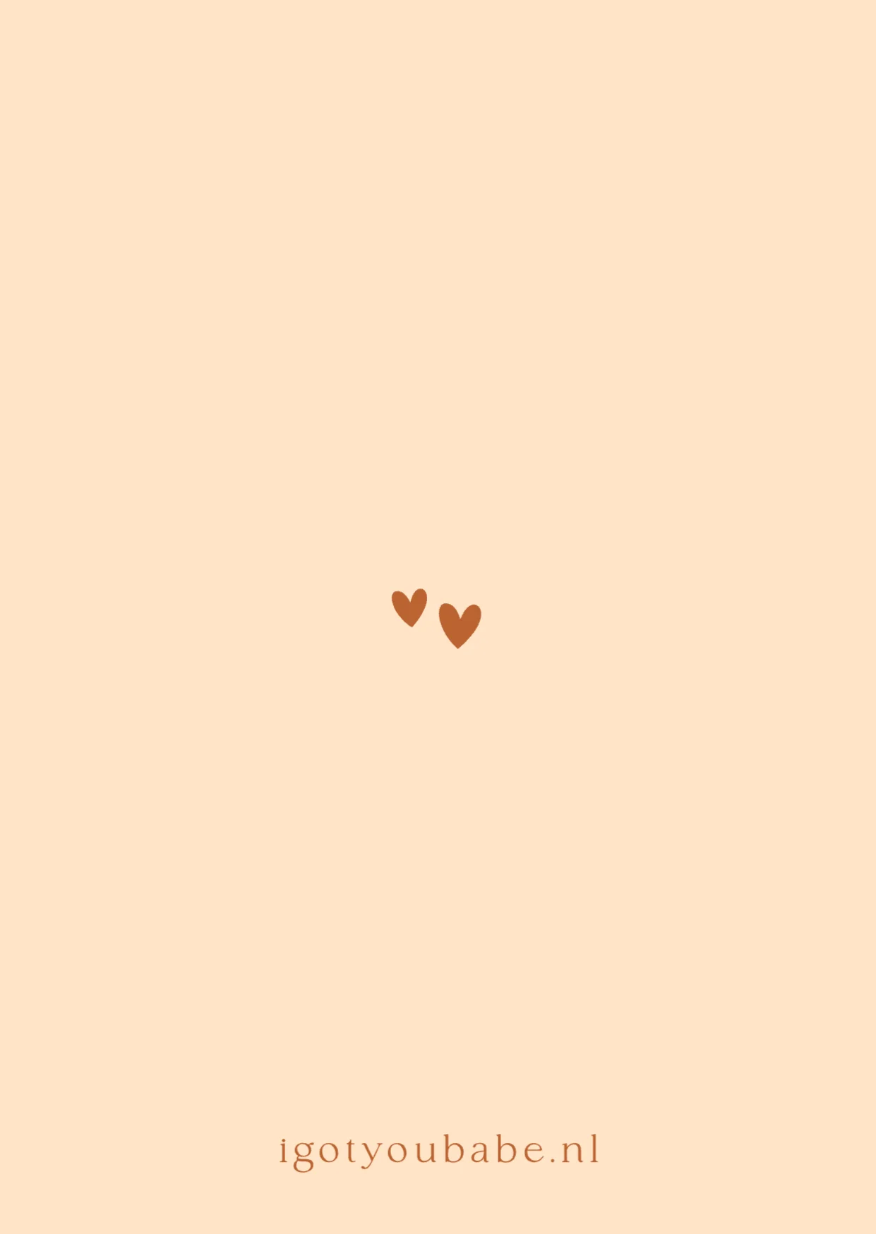 Aapje met Vlag op Bal - Terug