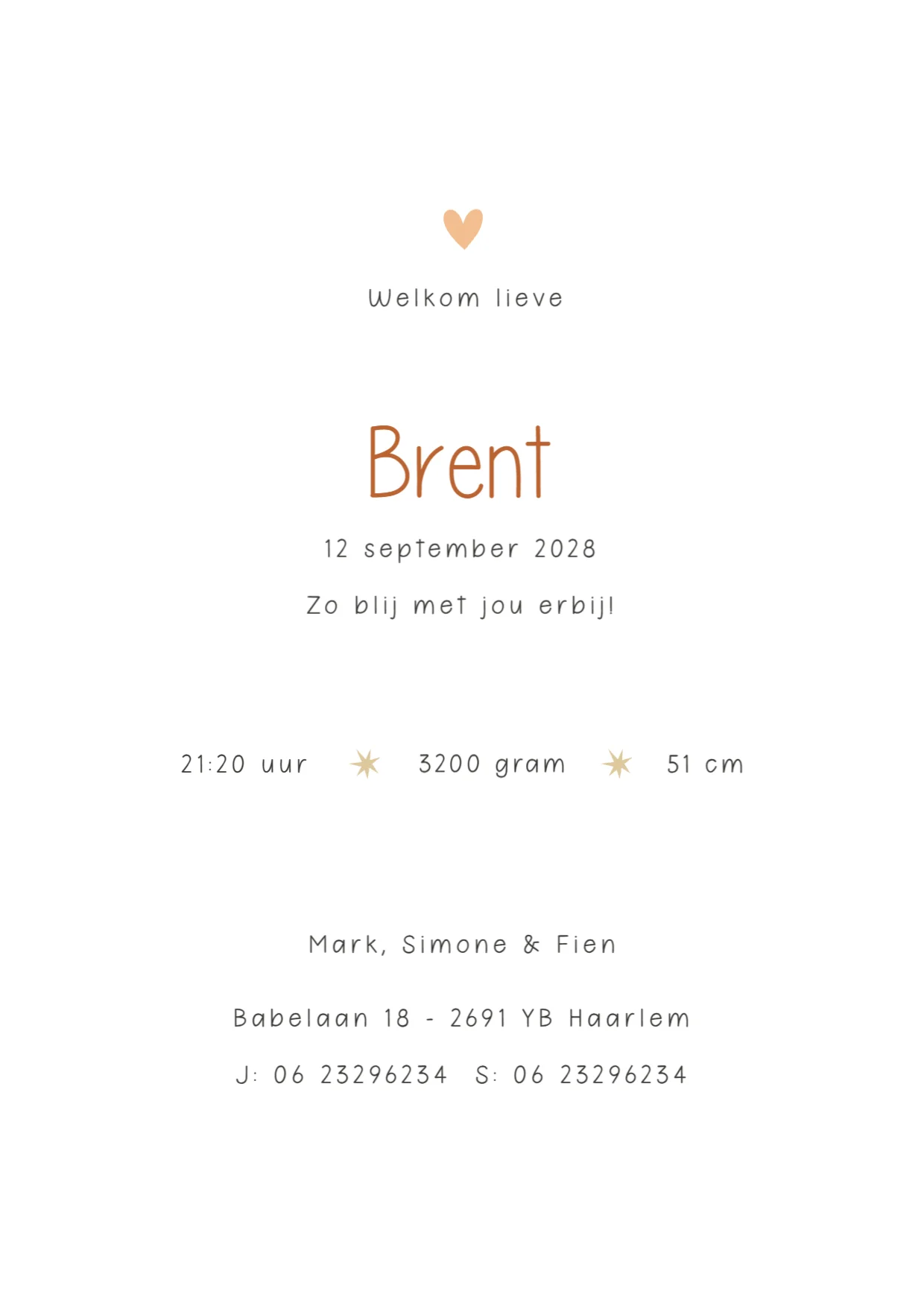 Aapje met Vlag op Bal binnenkant