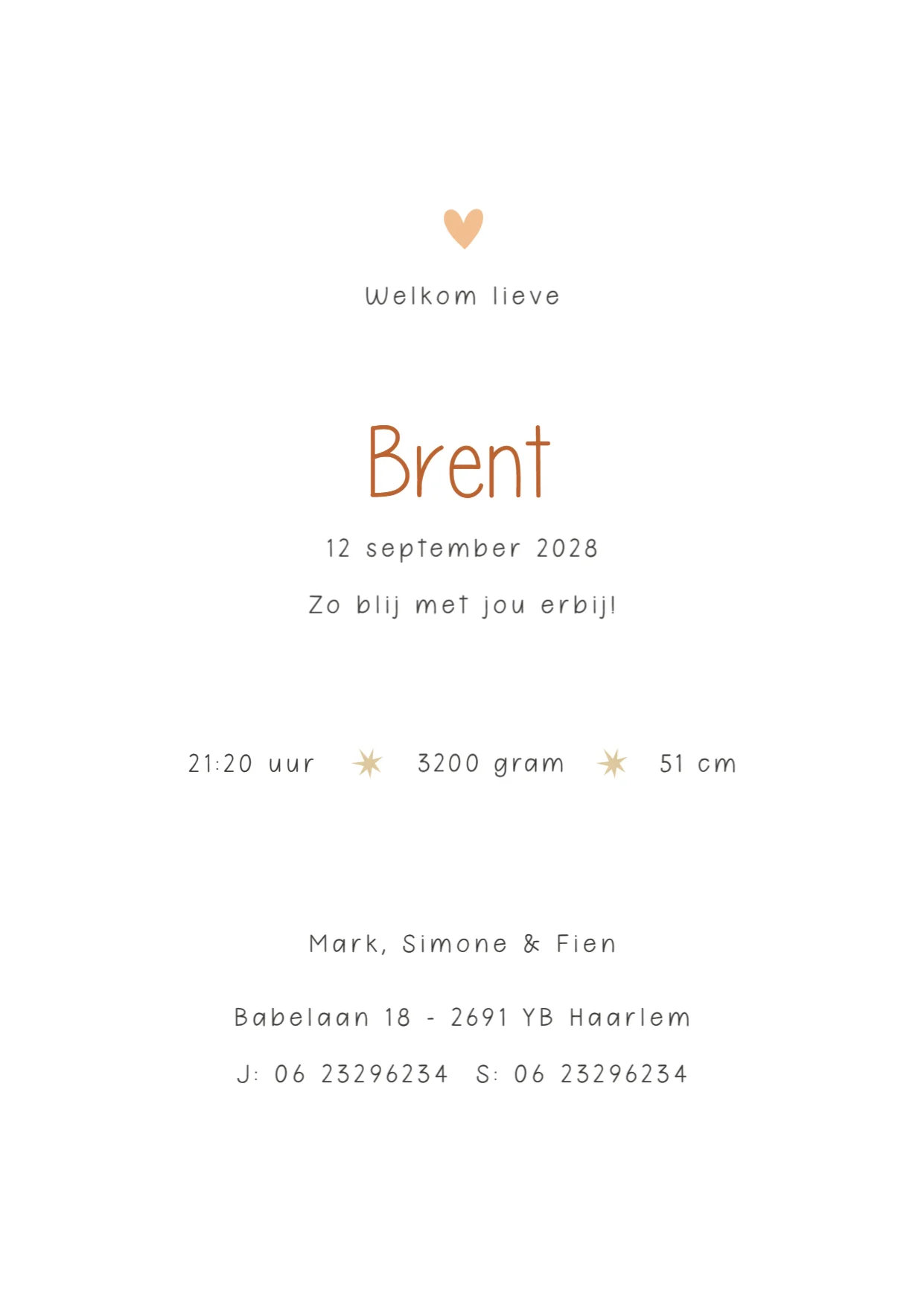 Aapje met Vlag op Bal - Terug