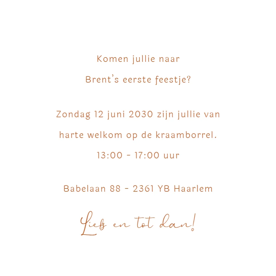 Aapje met Vlag op Bal - Terug