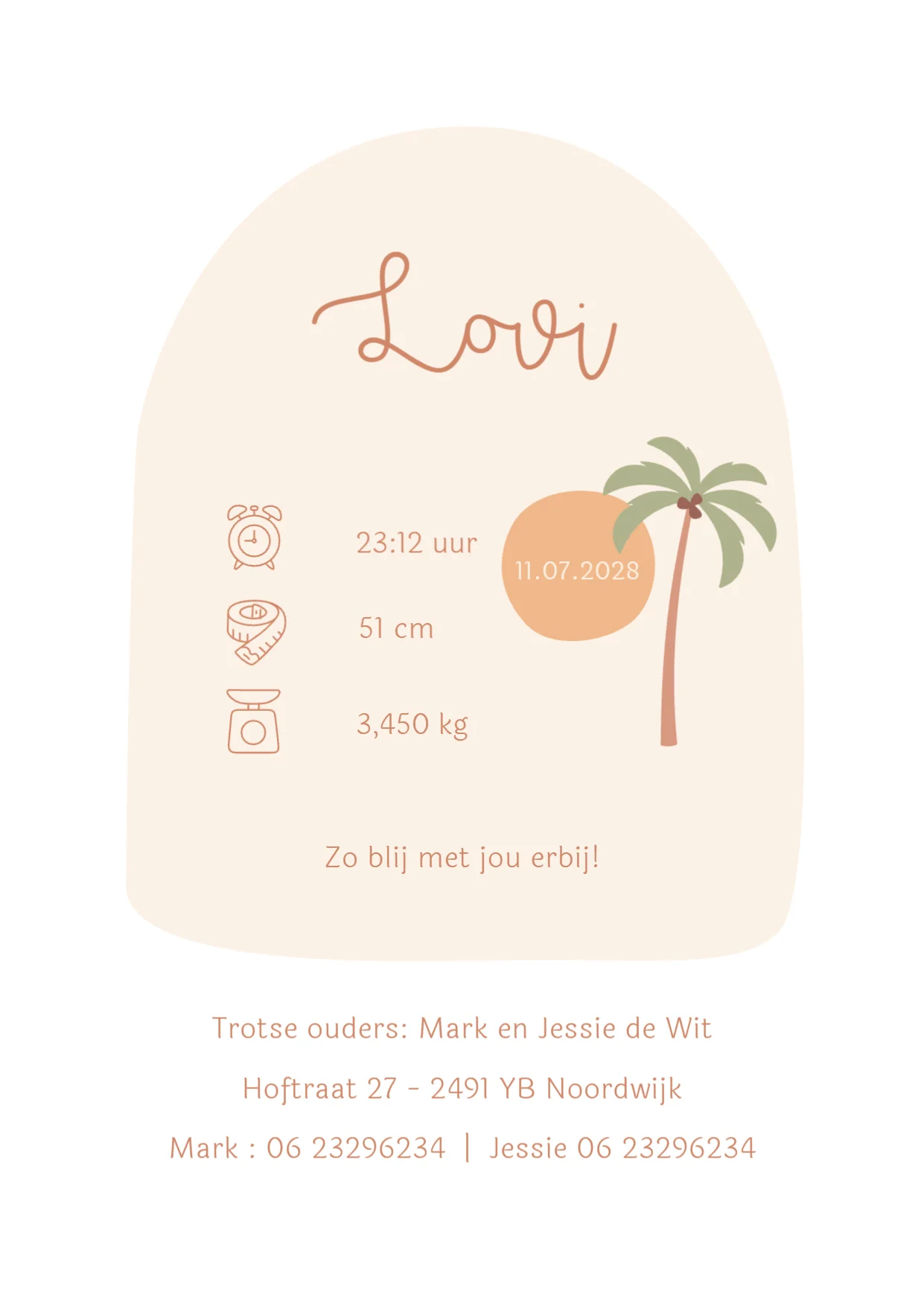 Waslijntje met palmbomen - Terug
