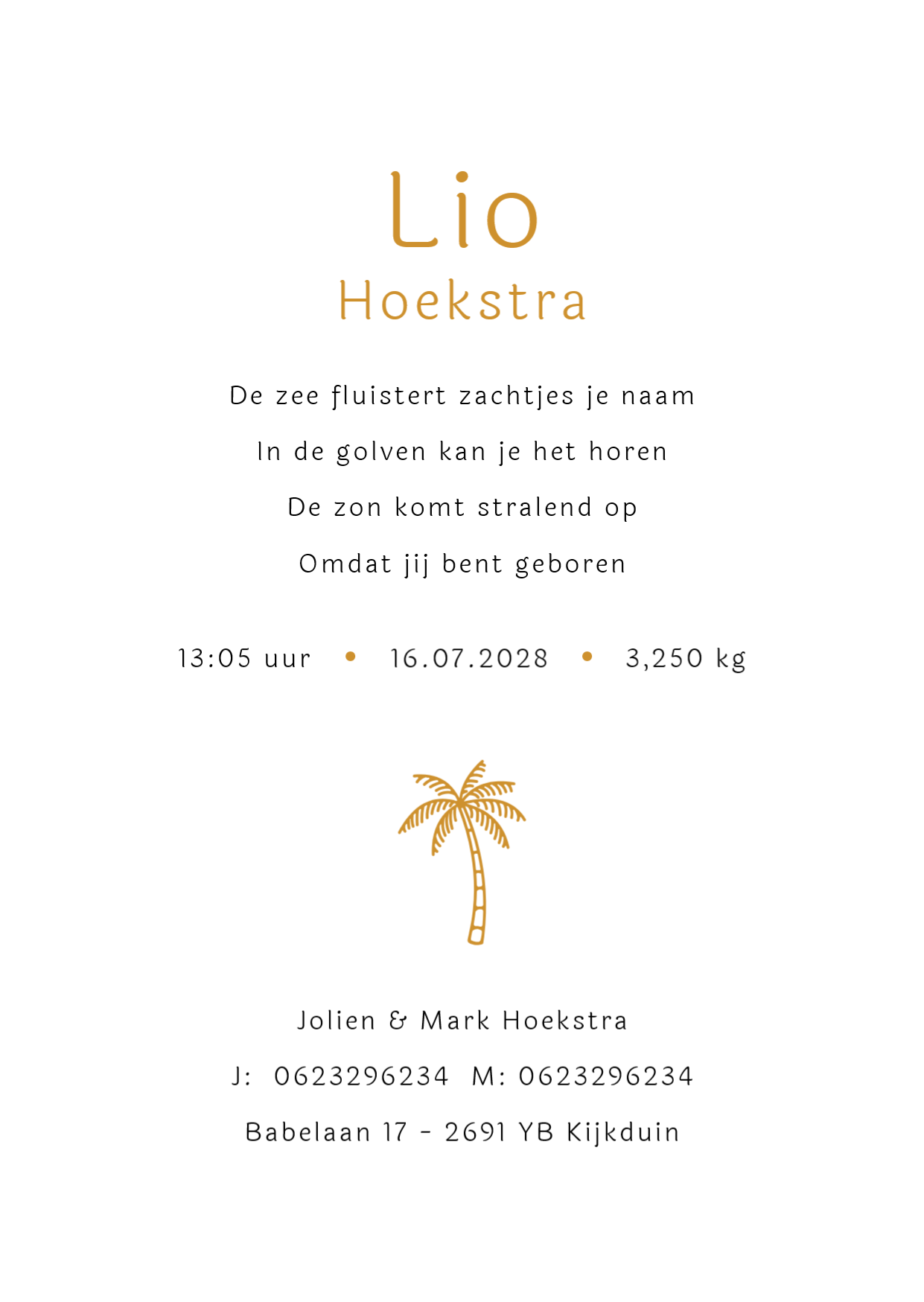 Zon met palmbomen - Terug