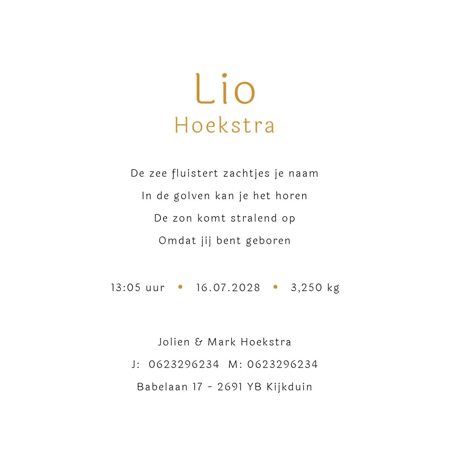 Zon met palmbomen - Terug