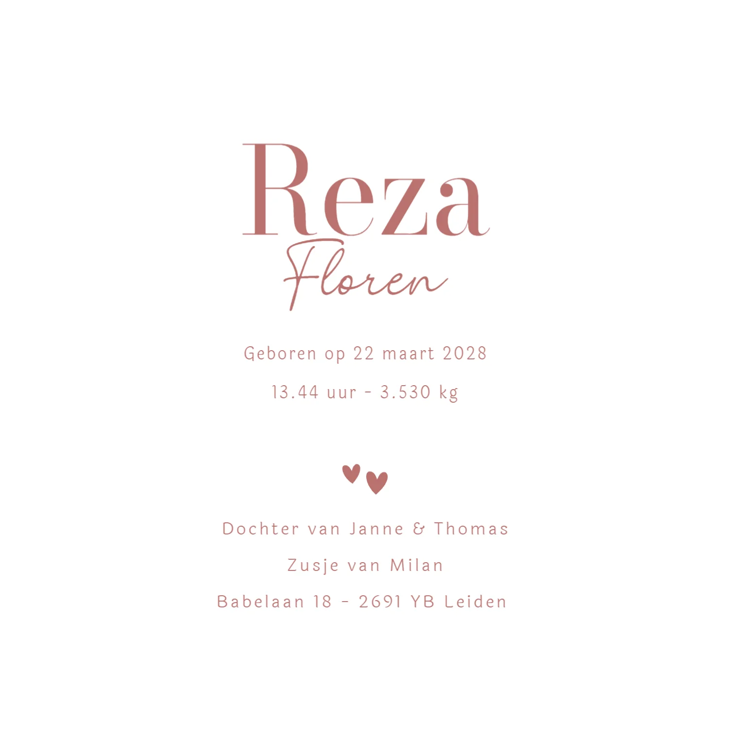 Nora Geblokt Roze Frame - Terug