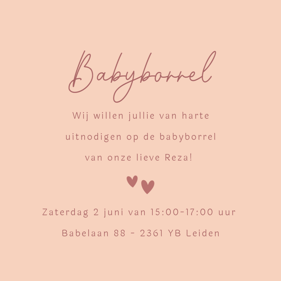 Nora Geblokt Roze Frame - Terug