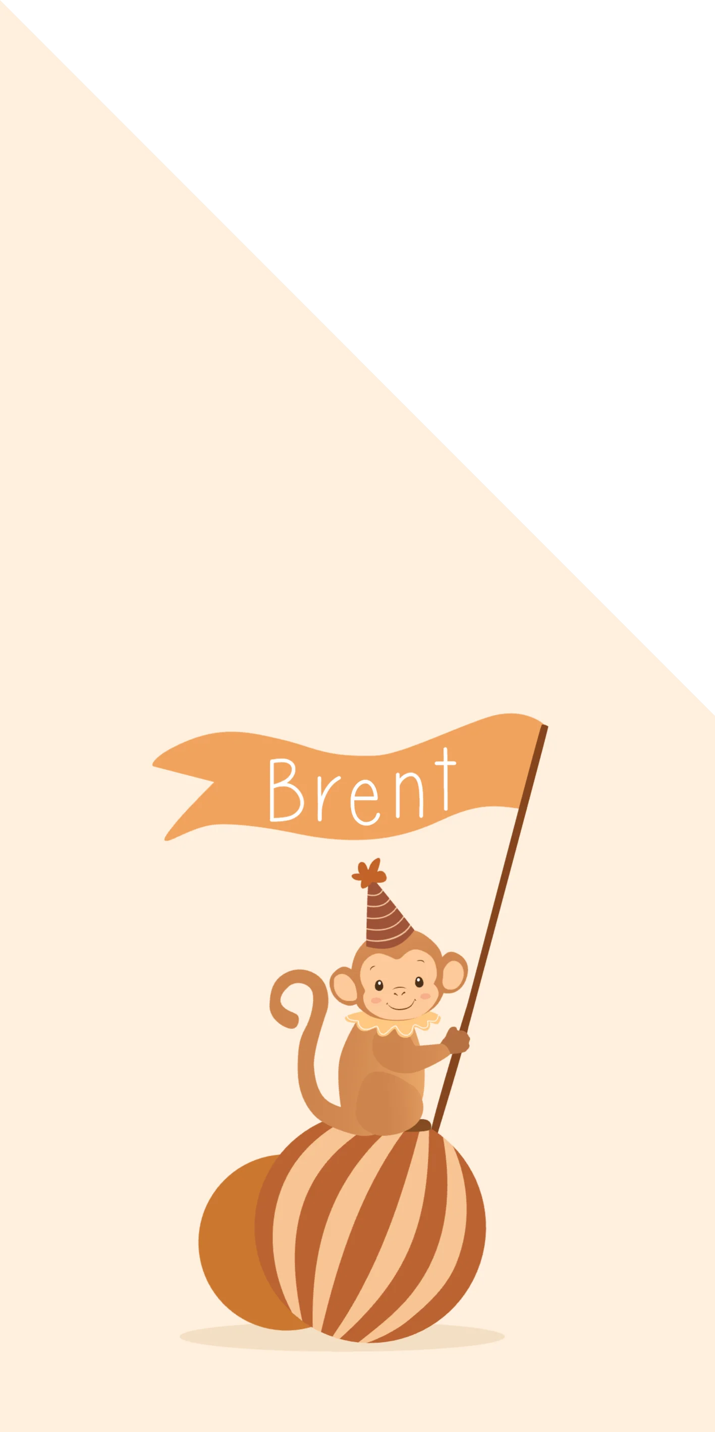 Aapje met Vlag op Bal - Terug