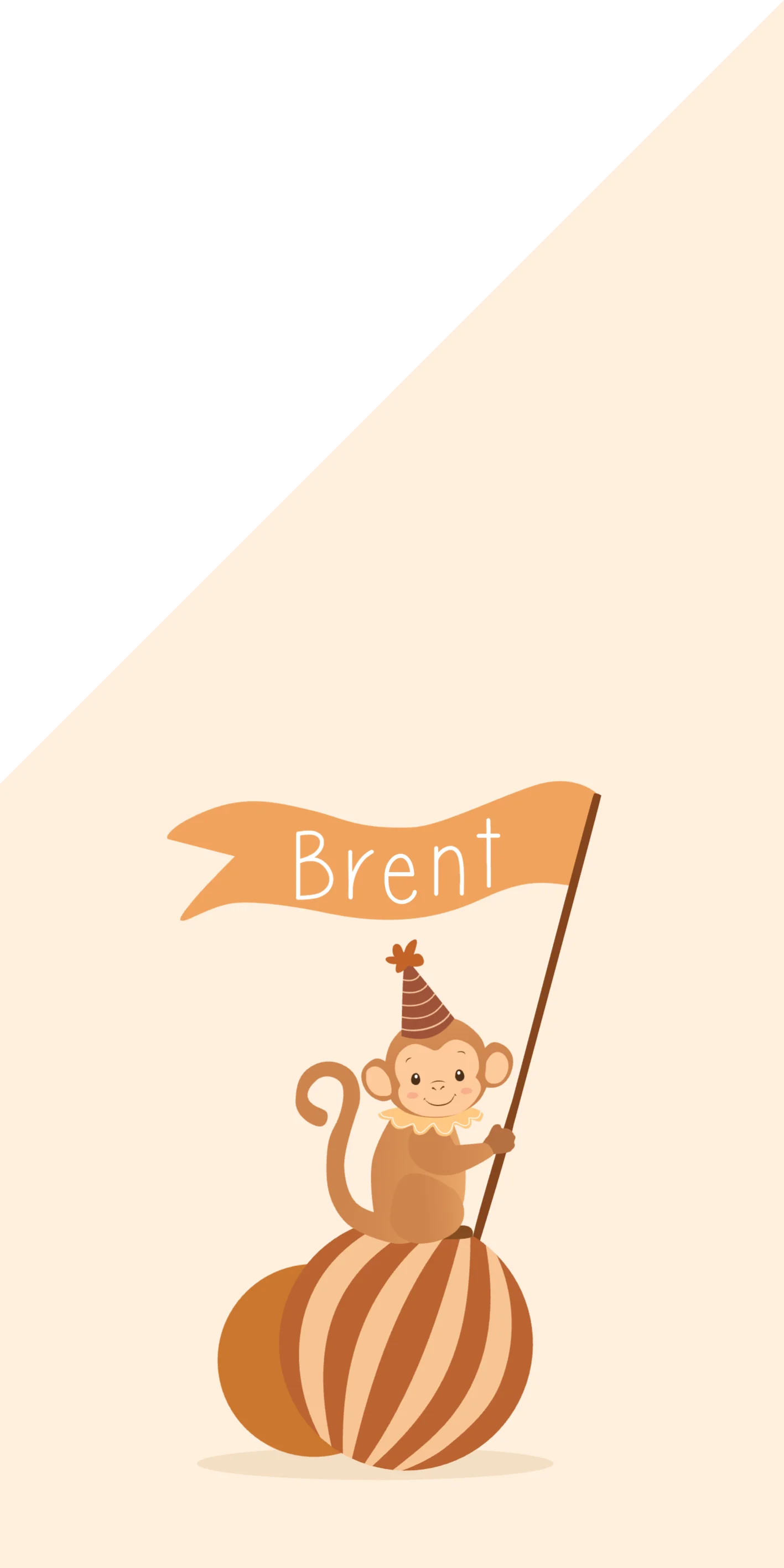 Aapje met Vlag op Bal