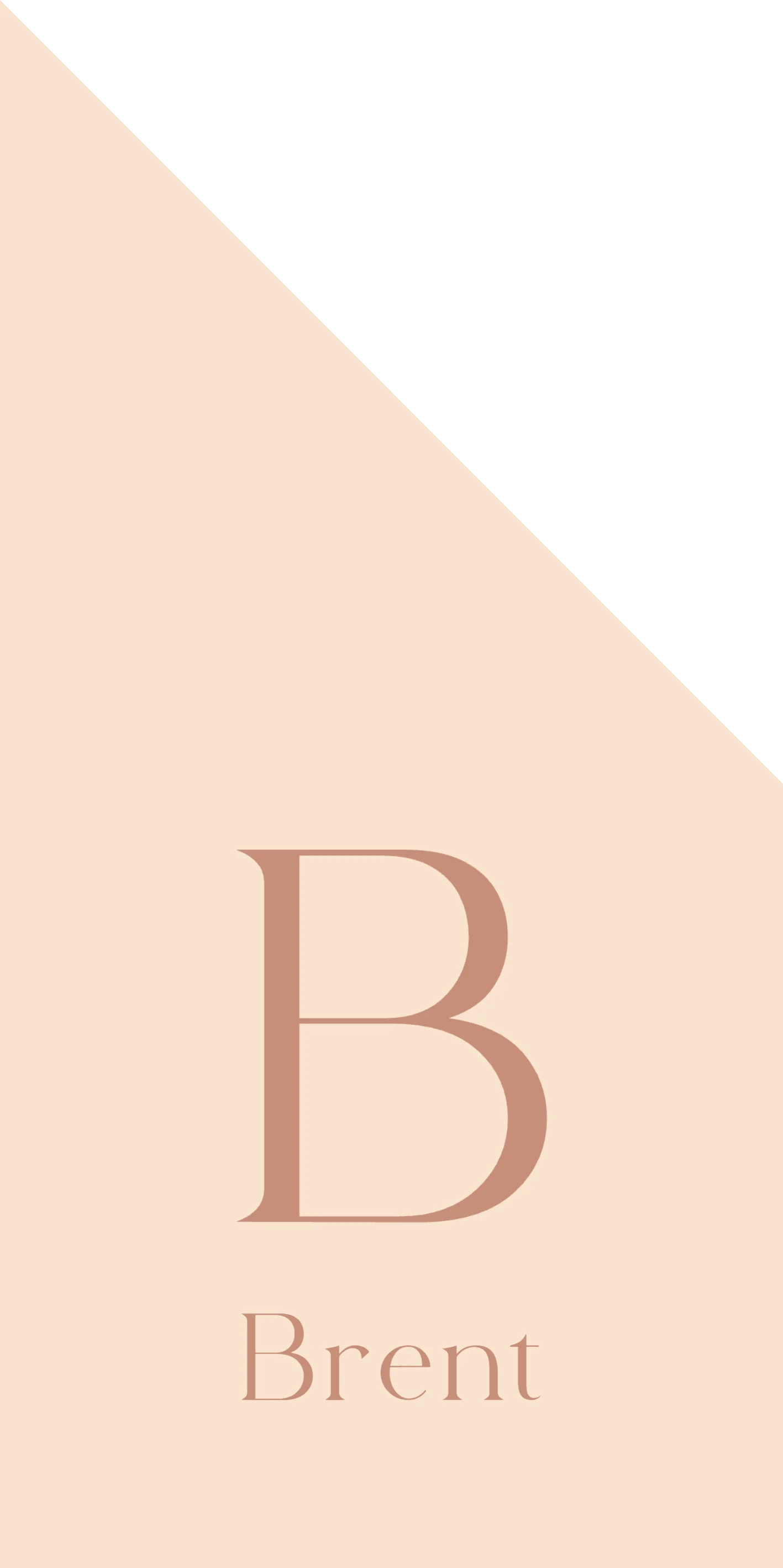 Grote Letter B Brent - Terug