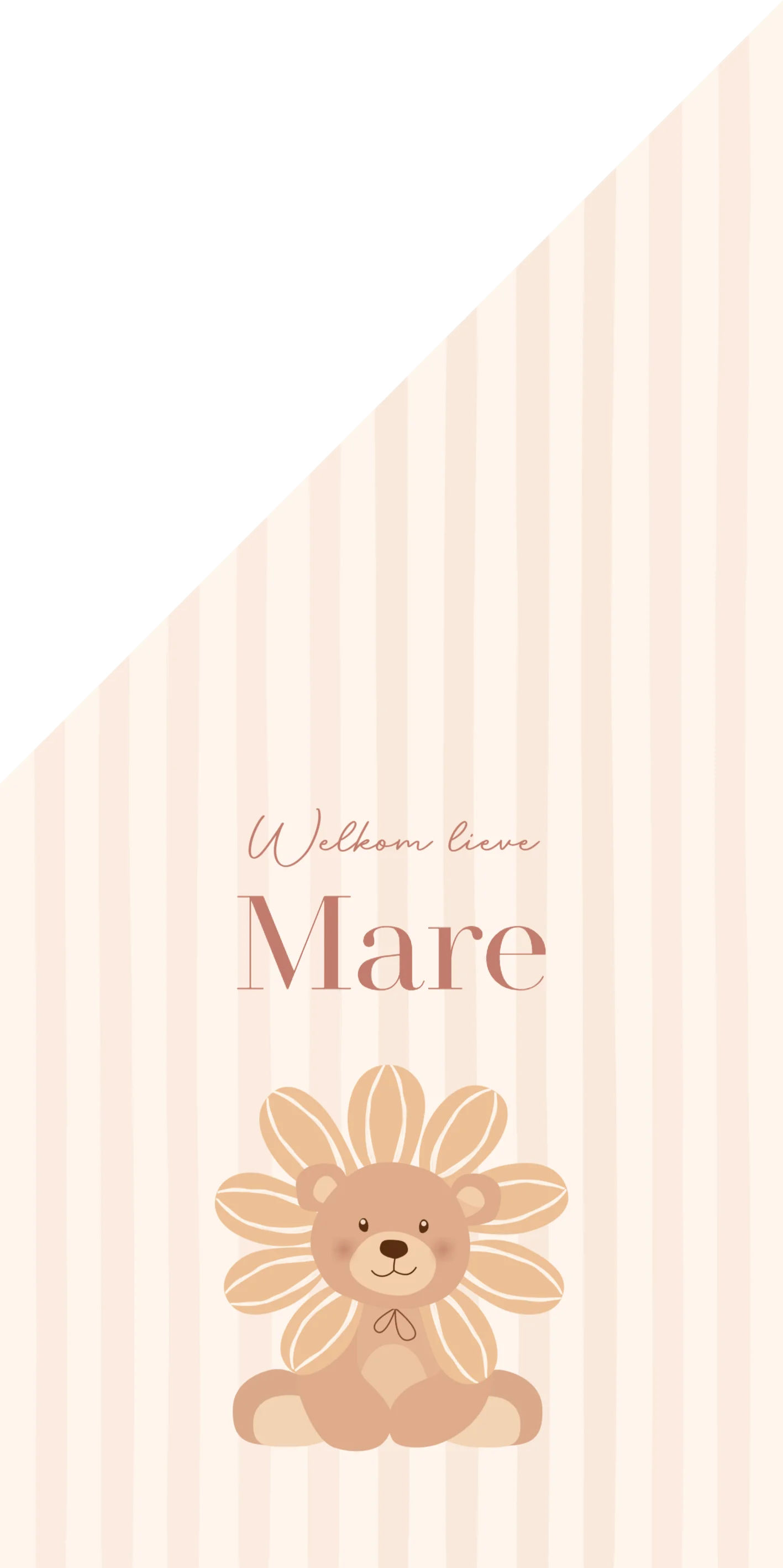 Beertje met zonnebloem