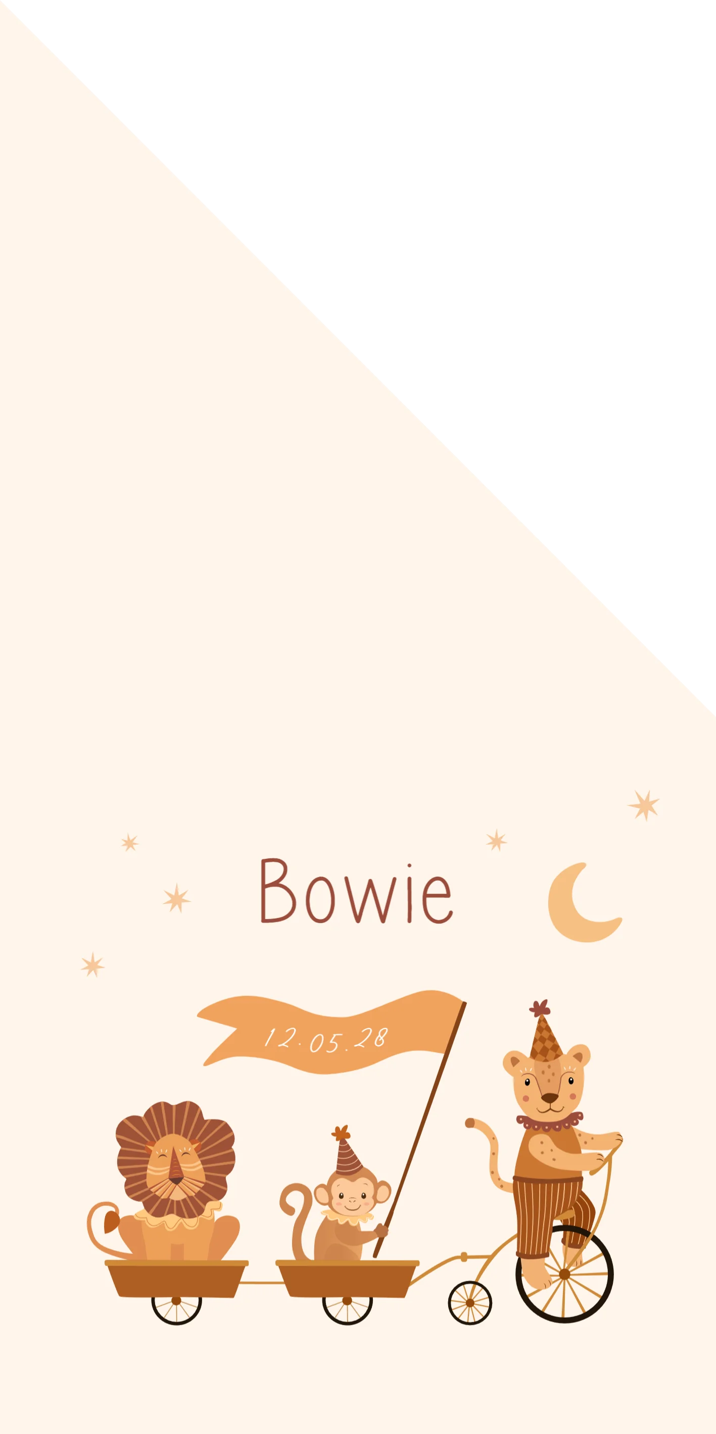 Vrolijke Dierenparade op Fiets - Terug