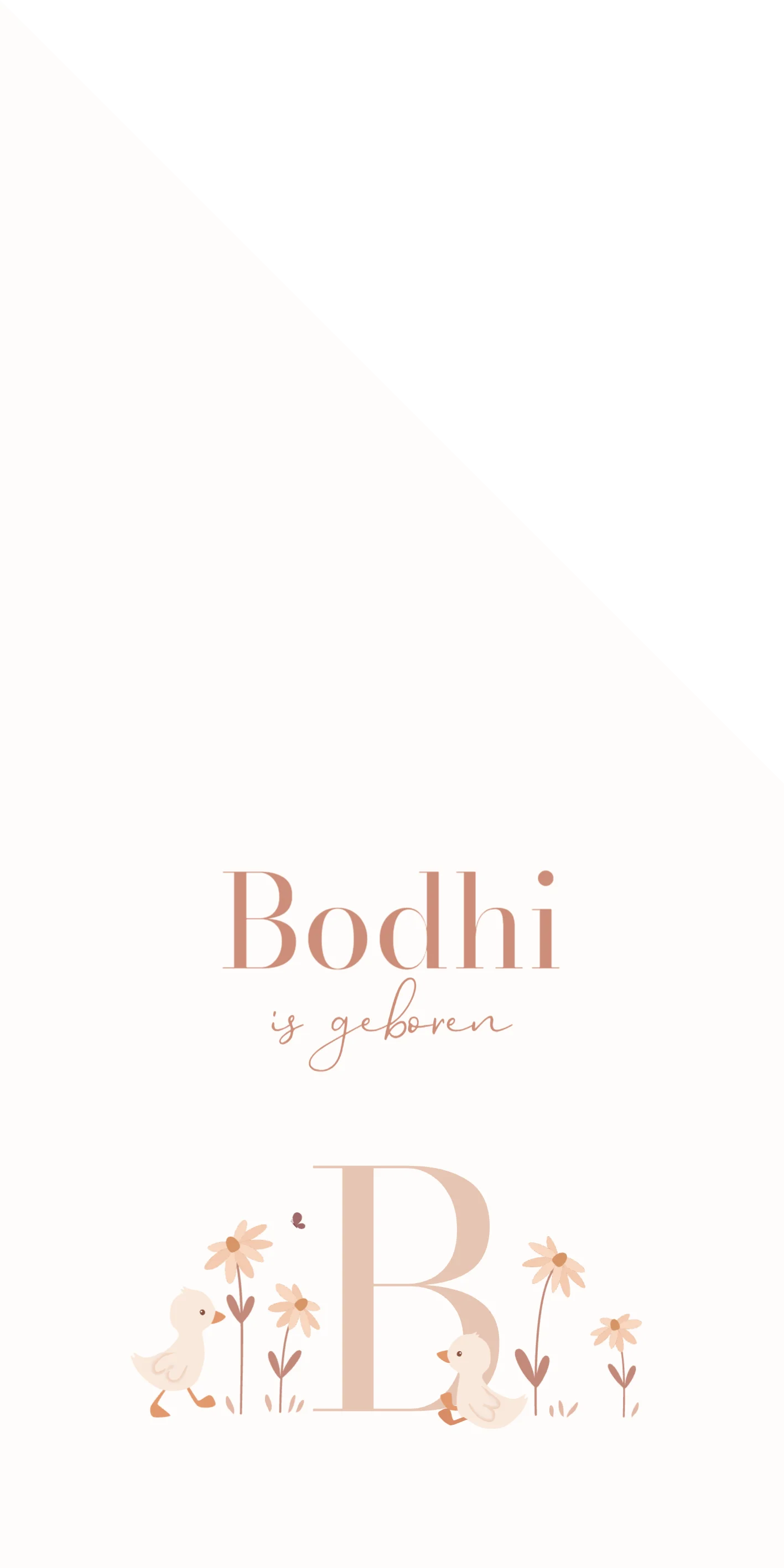 Eendjes met initiaal - Terug