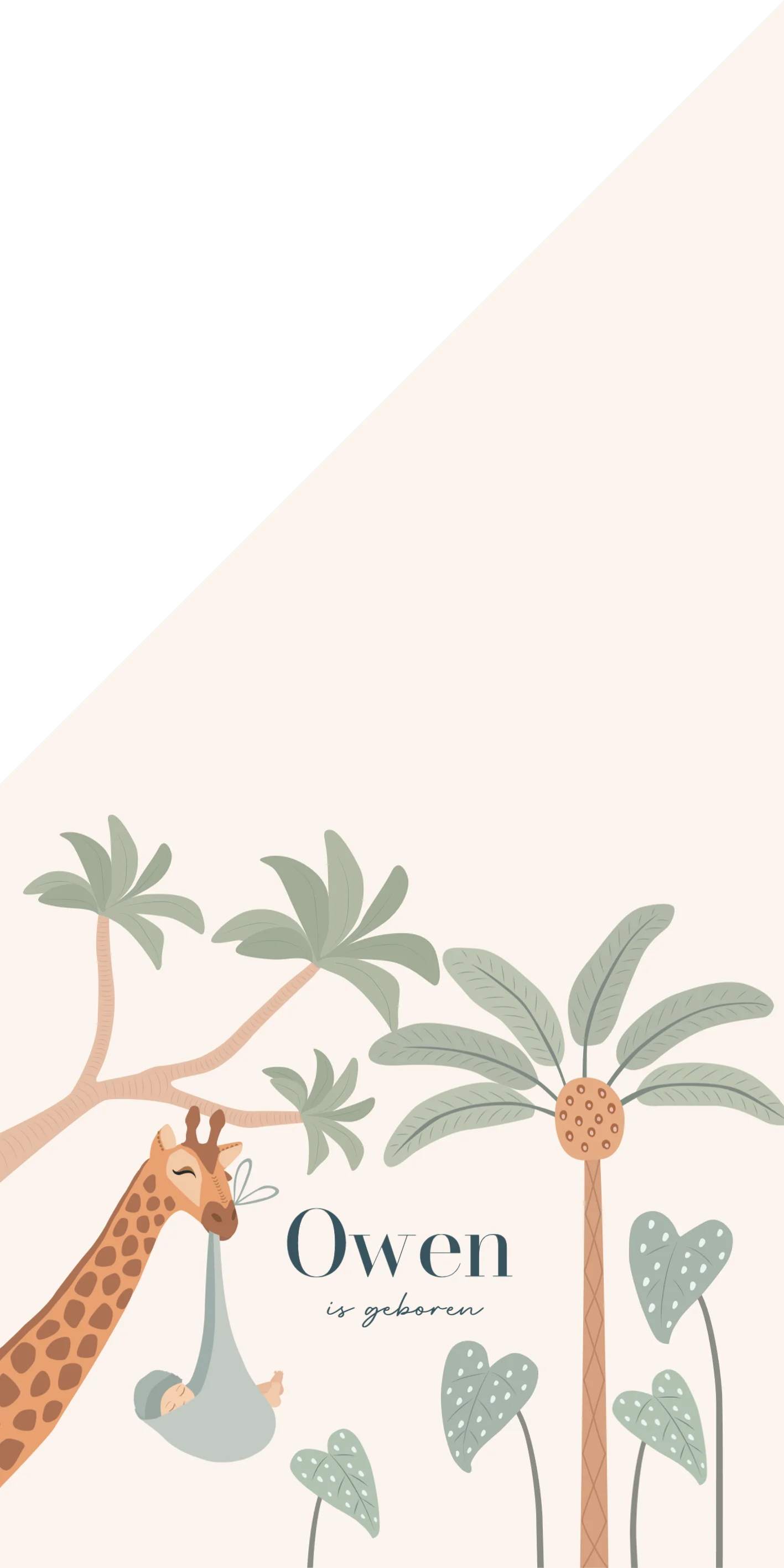 Giraf met baby in draagdoek