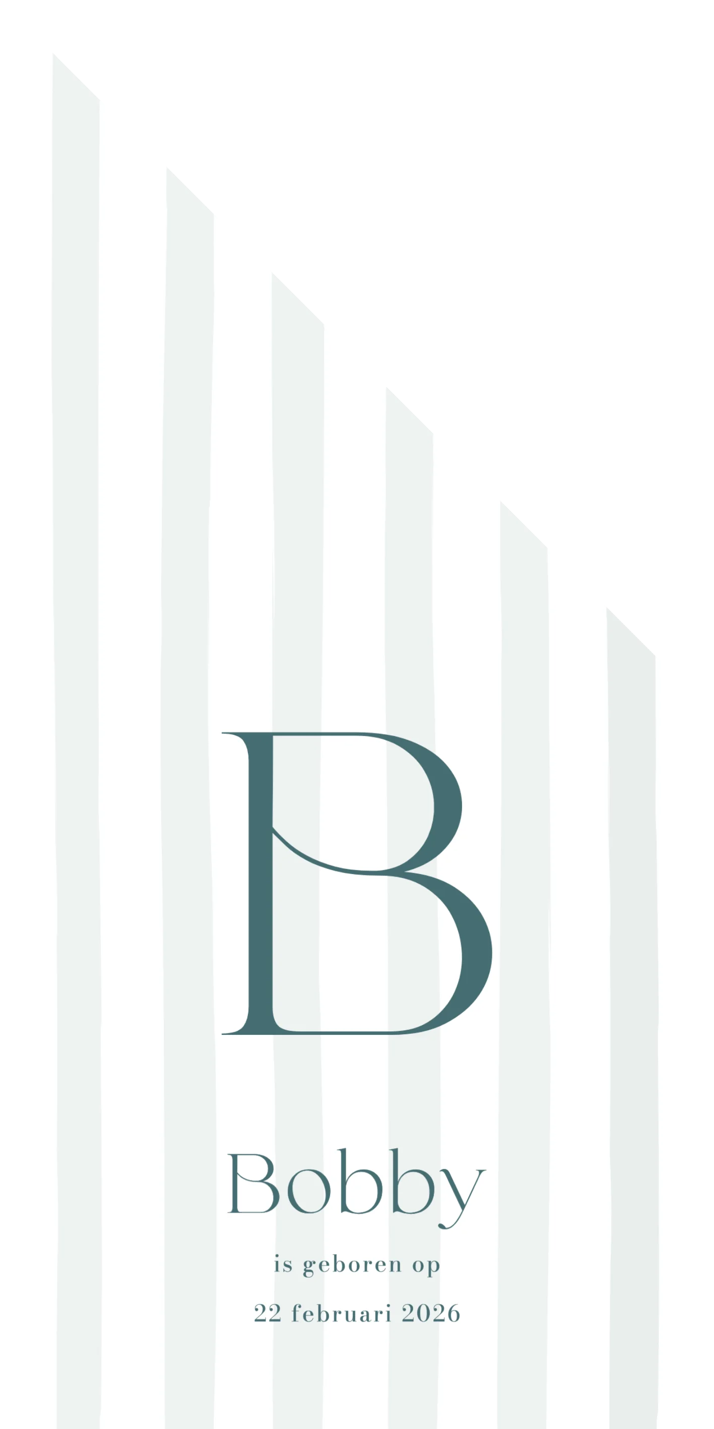 Initiaal voor een jongen - Terug