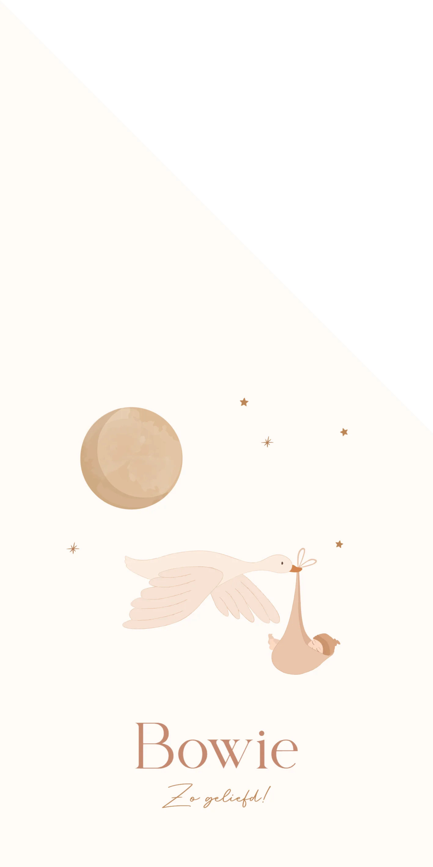 Gans met baby - Terug