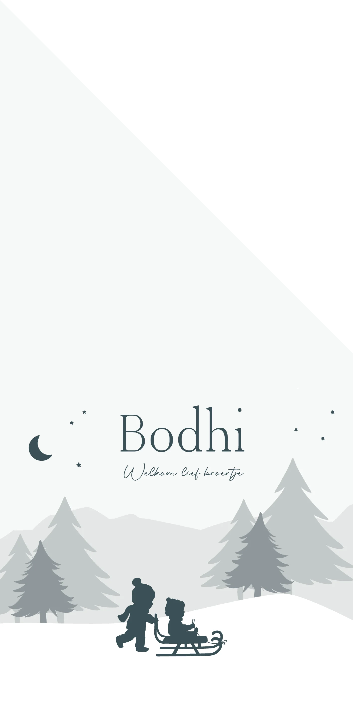 Broertjes met slee - Terug