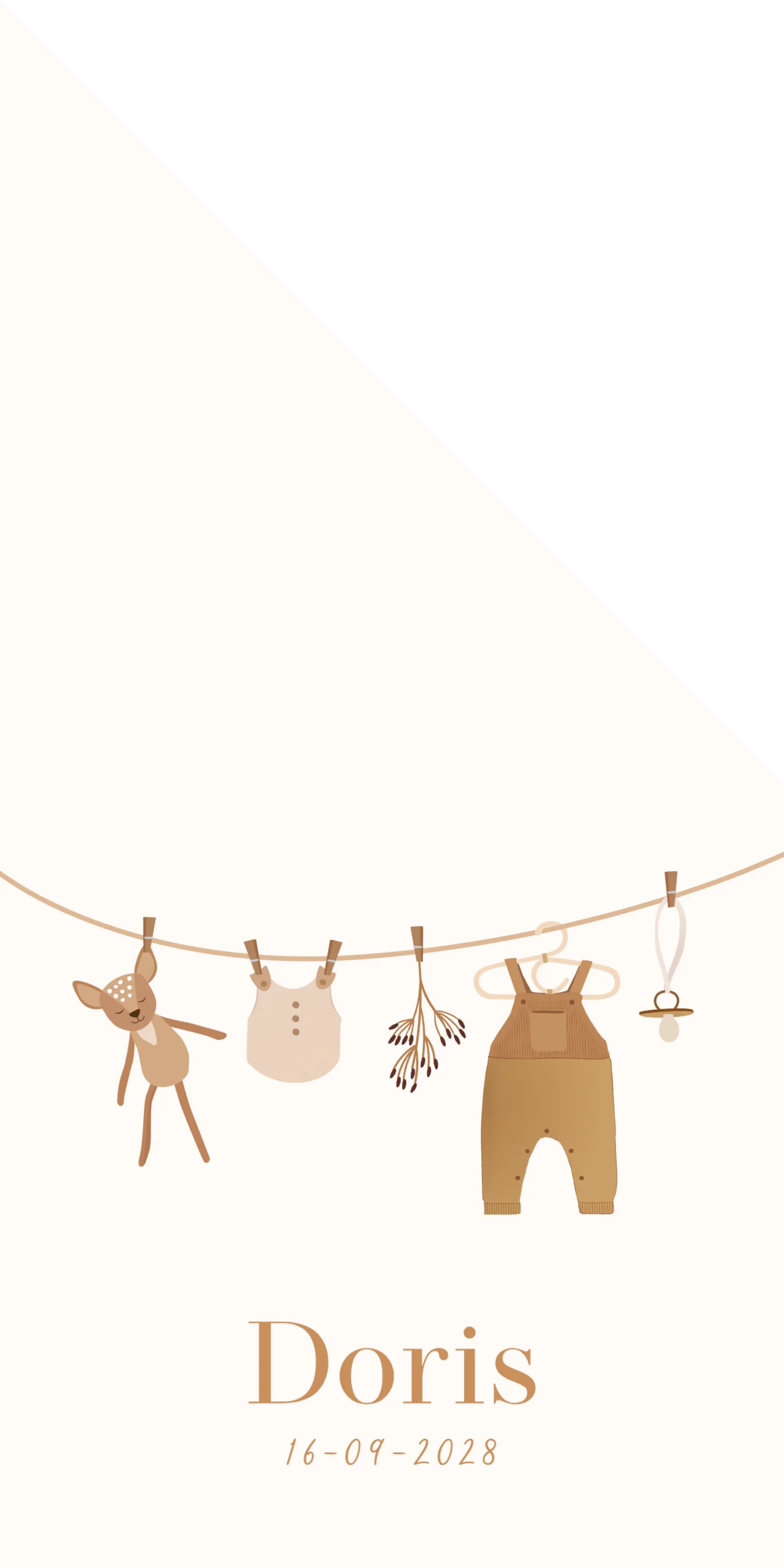 Waslijntje met babykleding - Terug