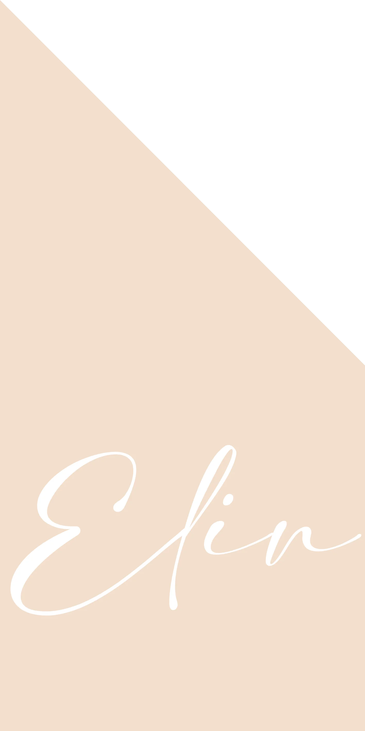 Minimalistisch - Terug