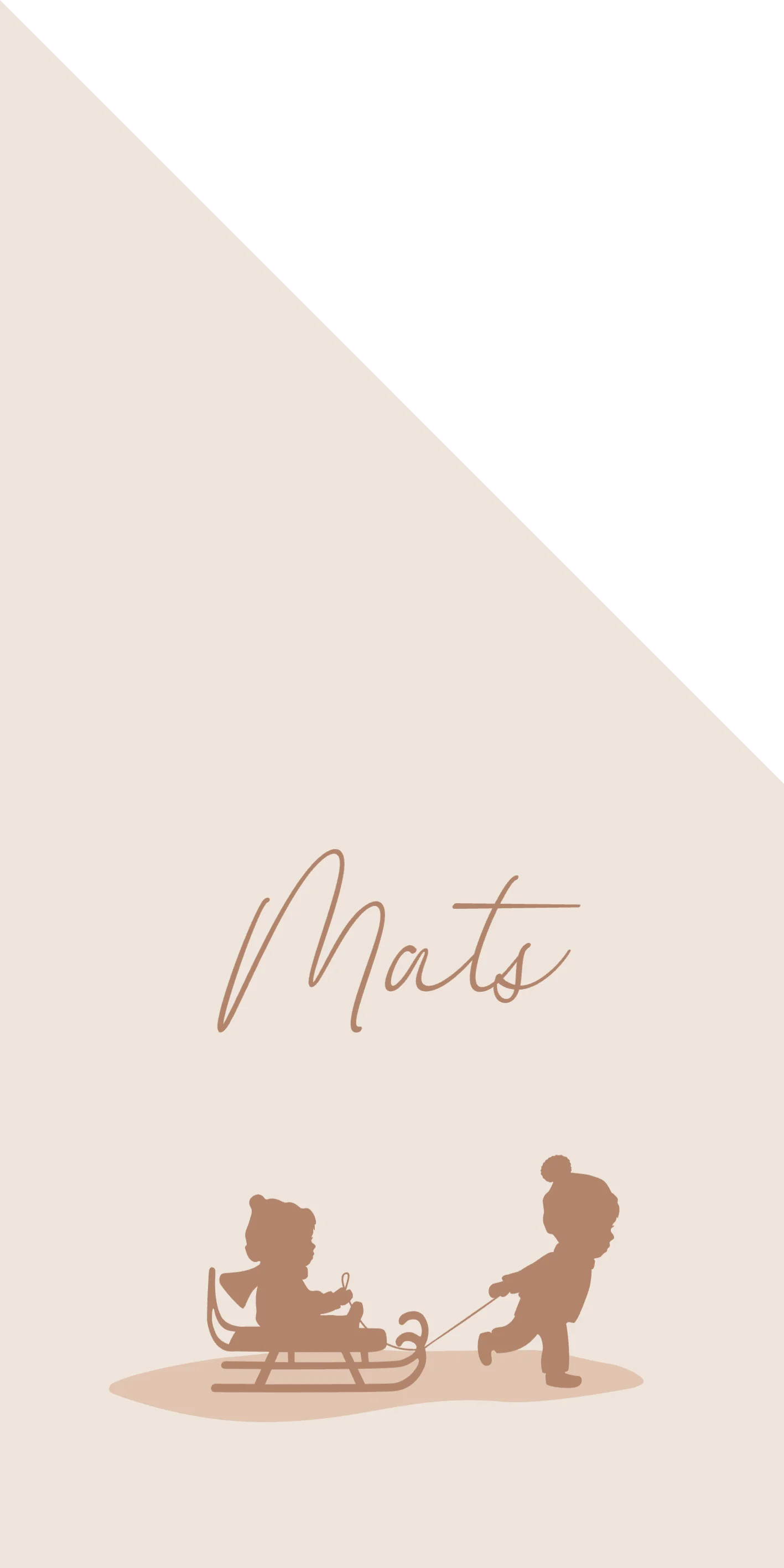 Broertjes met slee - Terug