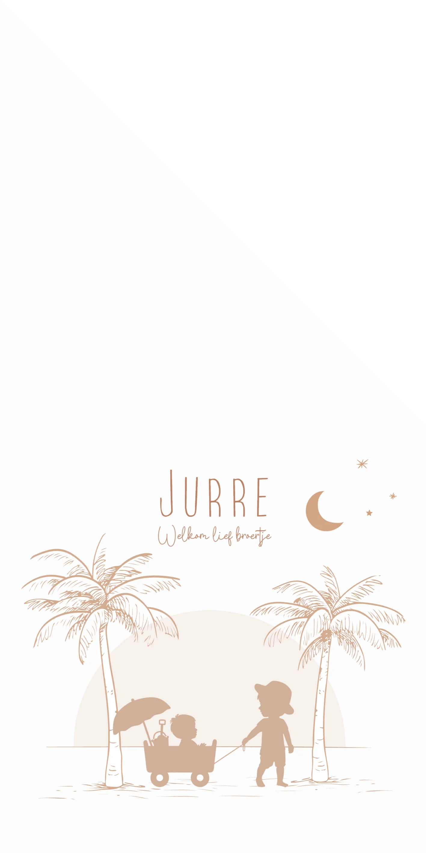 Bolderkar met broertjes - Terug