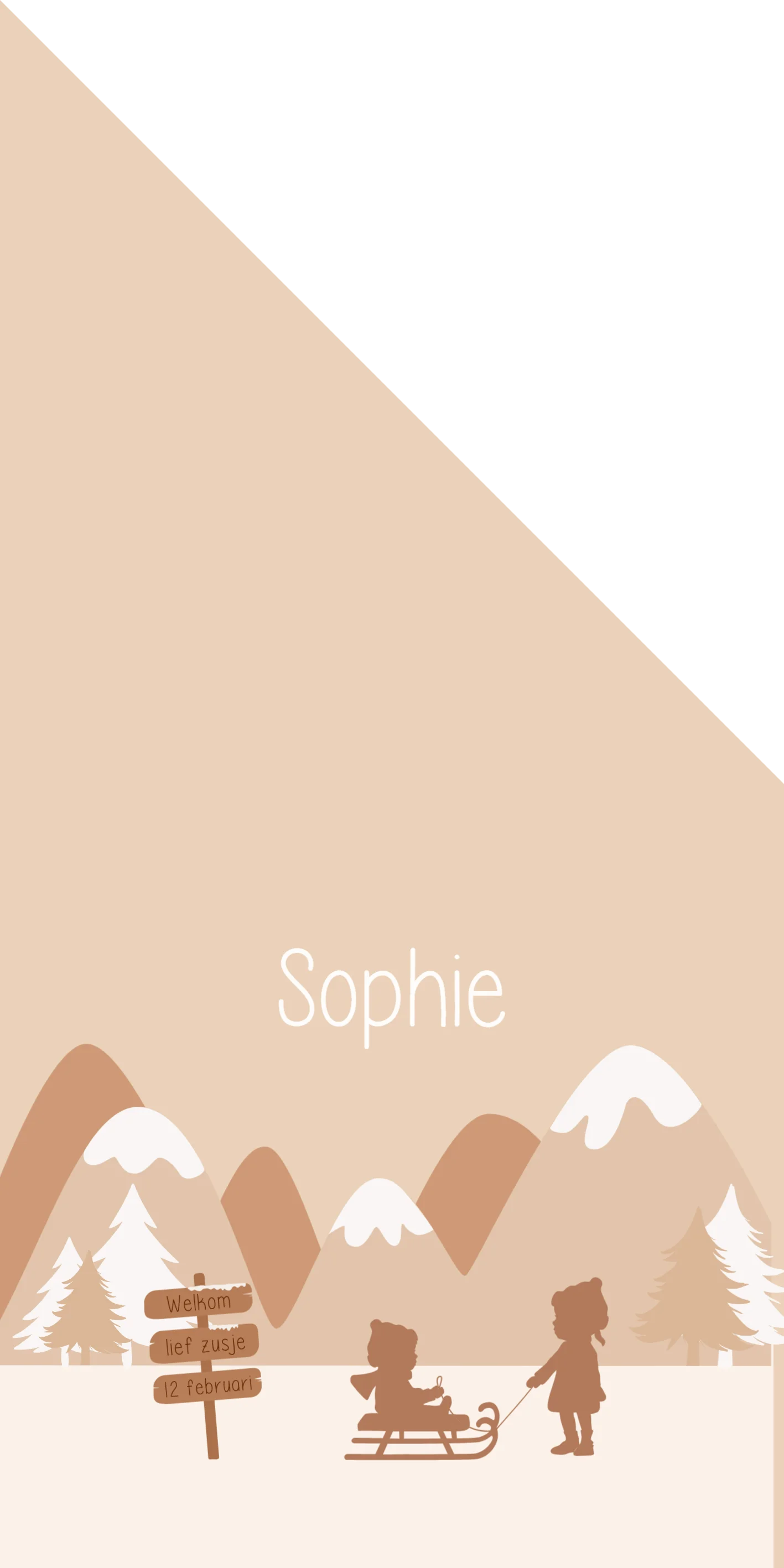 Winters silhouet - Terug