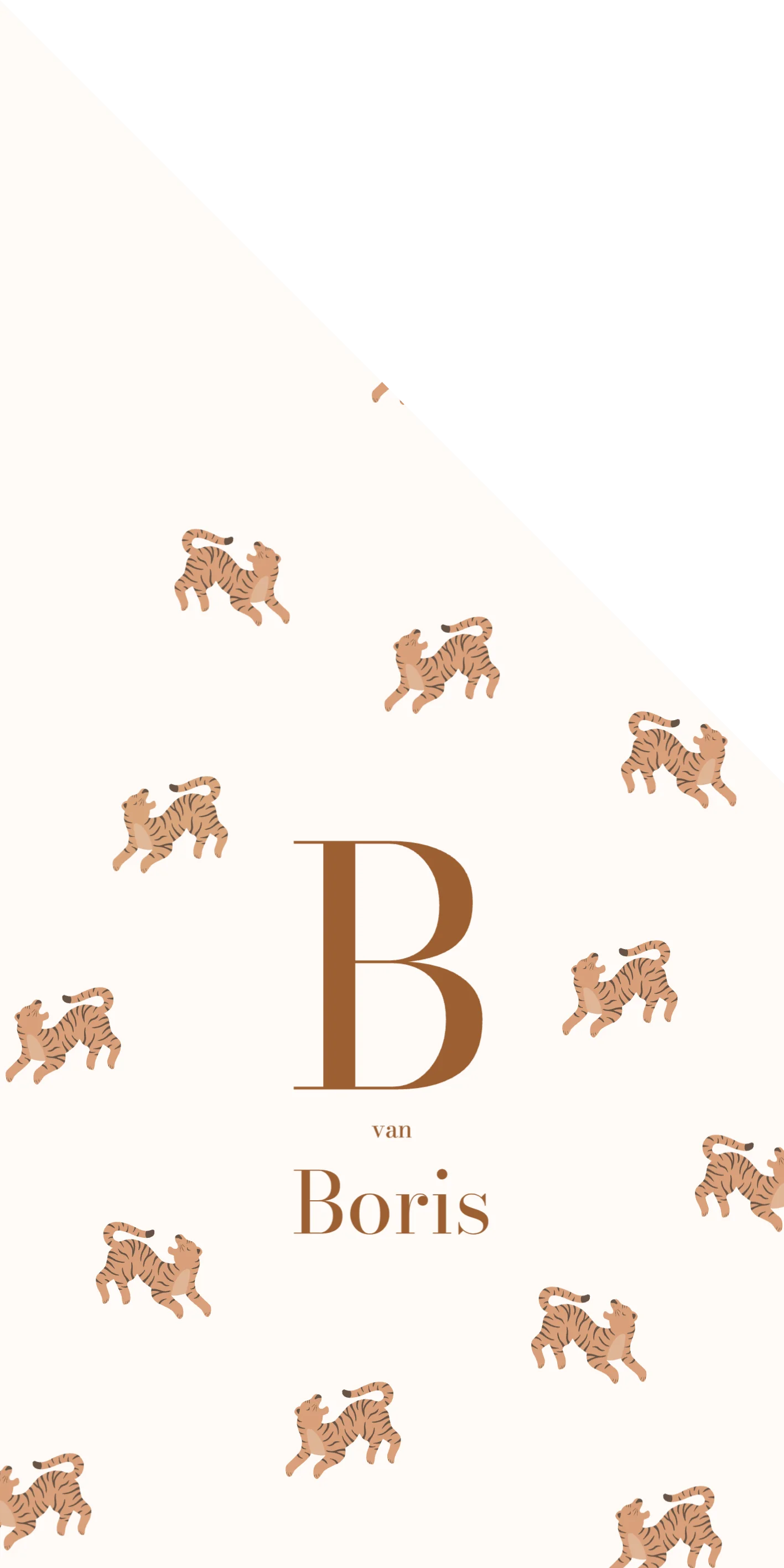 Tijgertjes Patroon - Terug