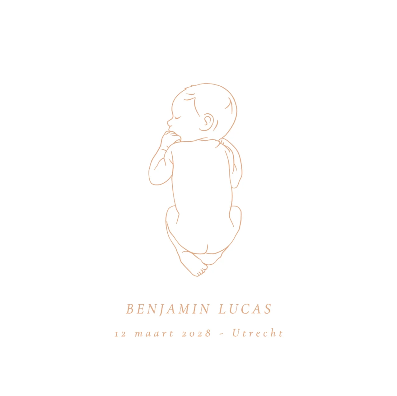 Lijntekening baby