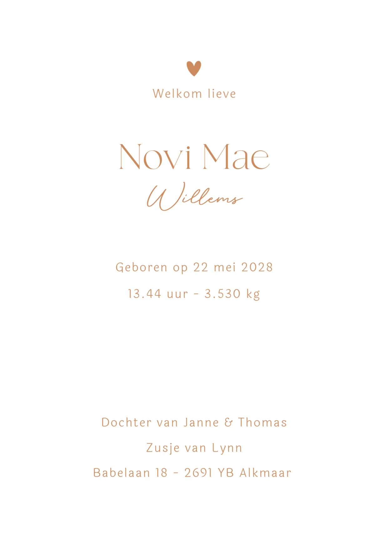 Grote zus met baby binnenkant