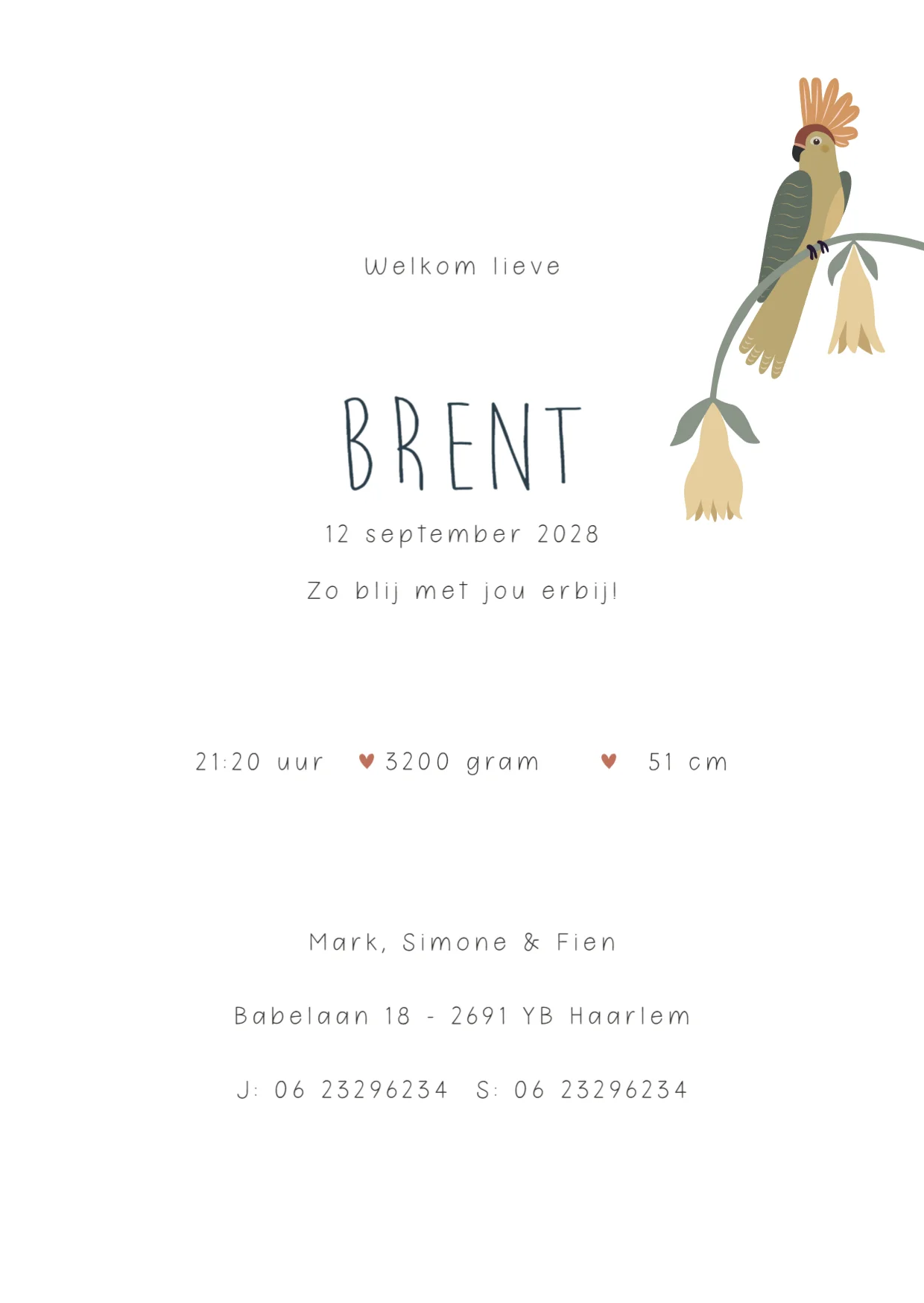 Jungle binnenkant