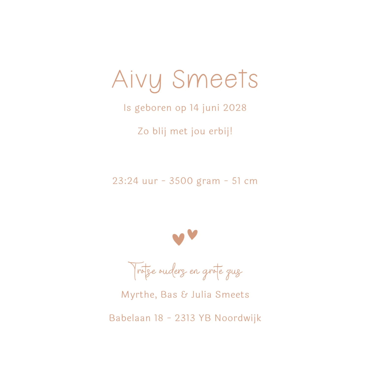 Zusjes met bolderkar - Terug