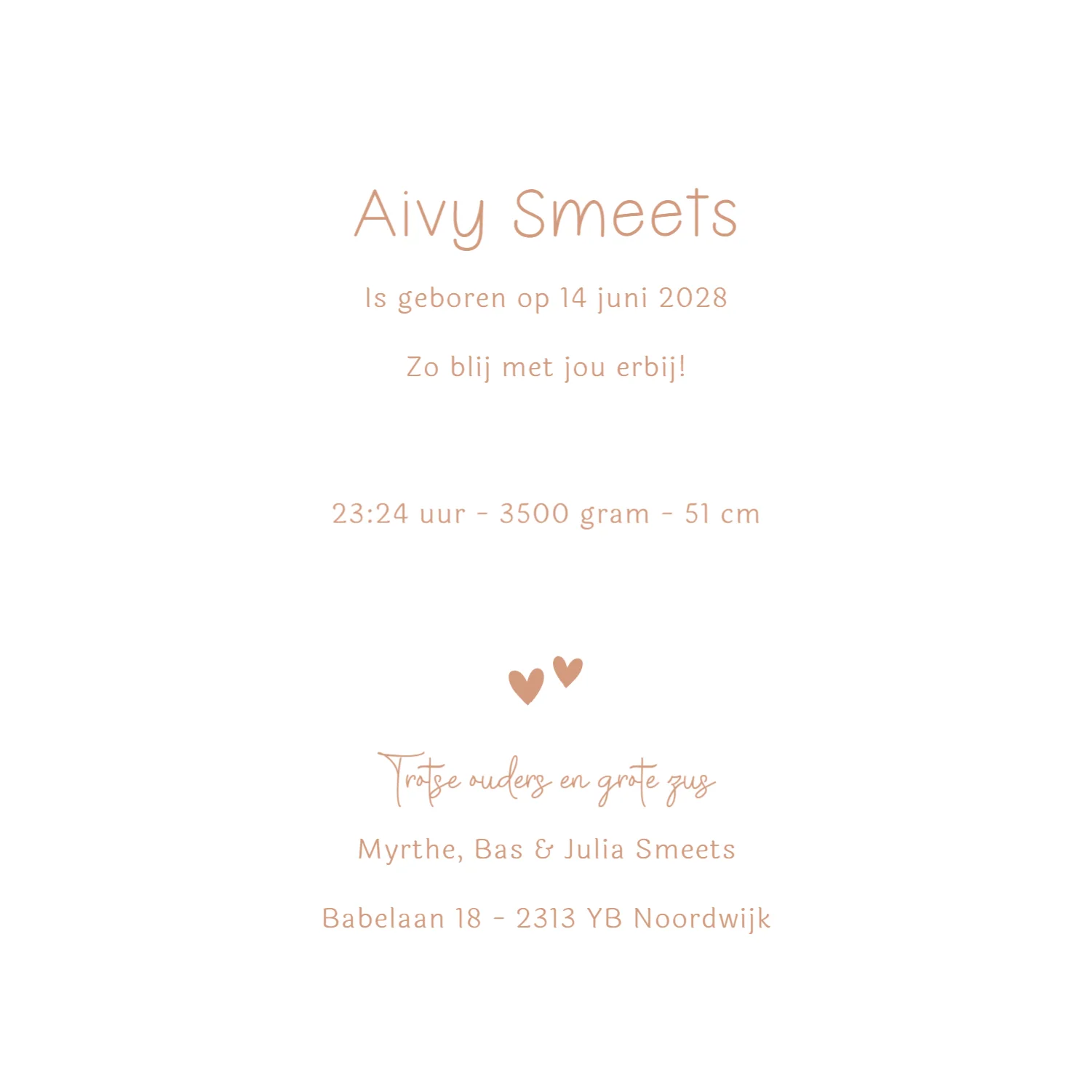 Zusjes met bolderkar binnenkant