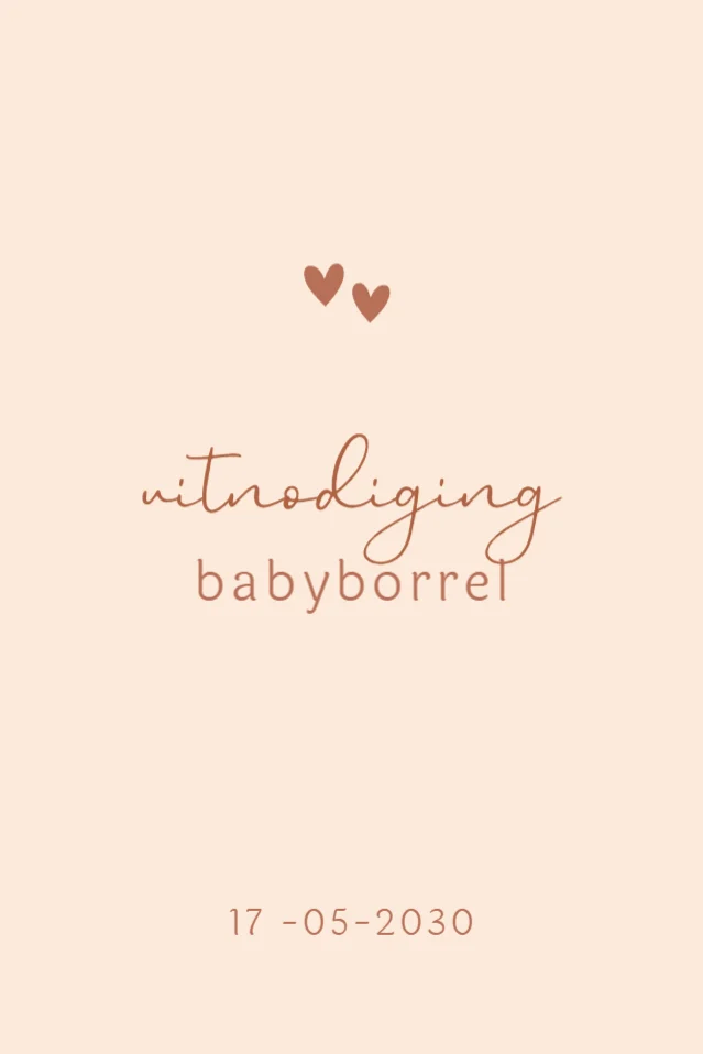 Baby met knuffelgans
