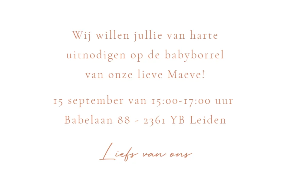 Liggende babyborrelkaart Grote broer met baby zusje - Terug