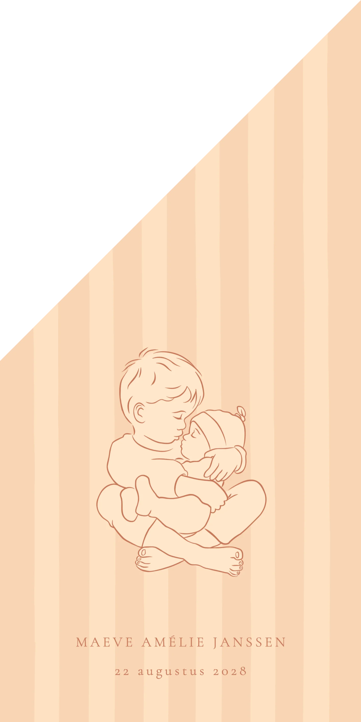 Geboortevlag Grote broer met baby zusje