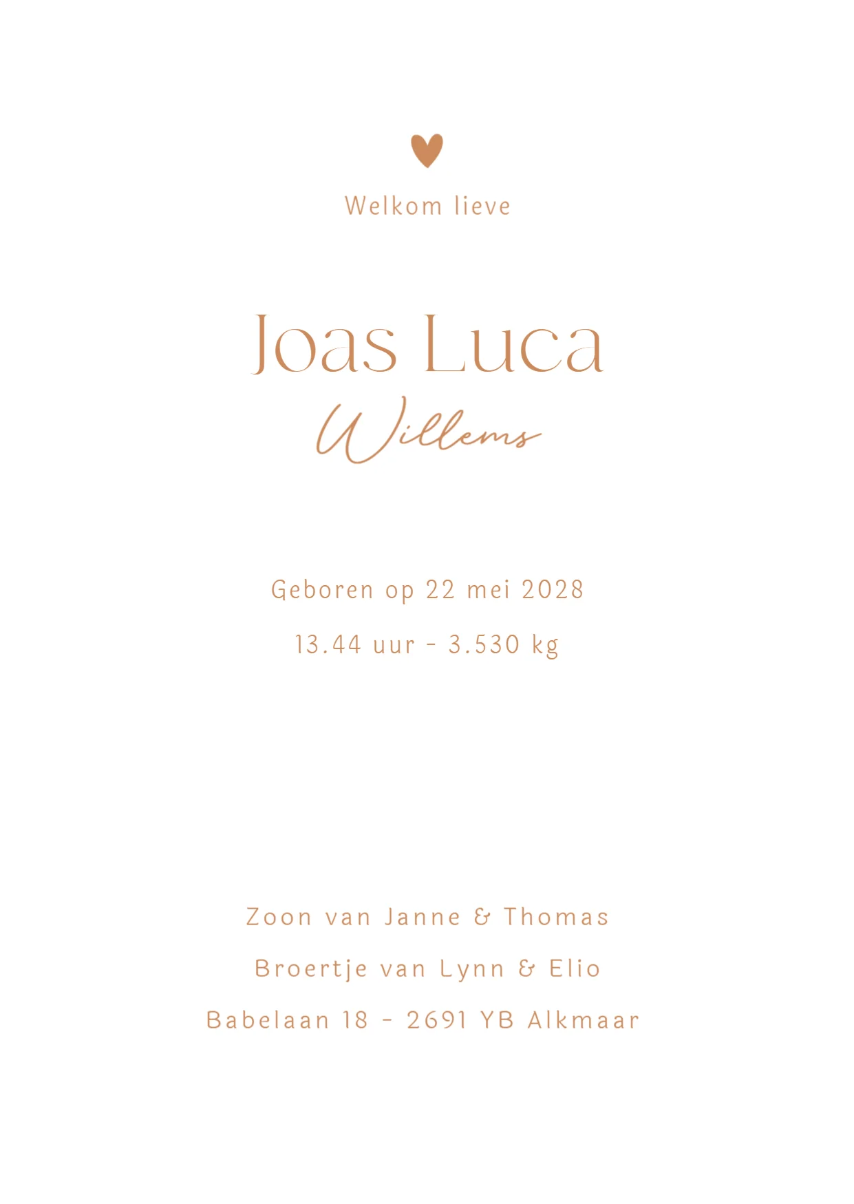 Illustratie derde kindje - Terug