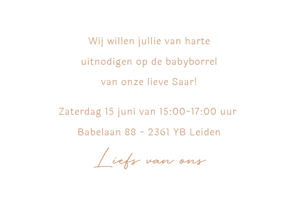 Liggende babyborrelkaart Geboortekaartje stansvorm bolletjes met silhouet zusjes - Terug