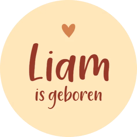 Sluitsticker Silhouet grote zus met broertje en vlieger