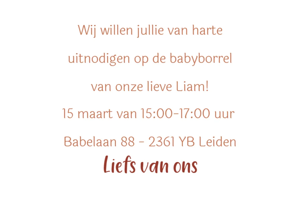 Liggende babyborrelkaart Silhouet grote zus met broertje en vlieger - Terug
